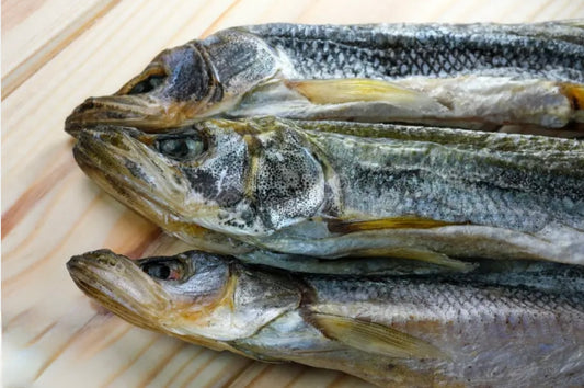 Smelt
